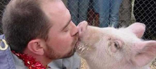 L'uomo povero può essere il nuovo animale domestico.
